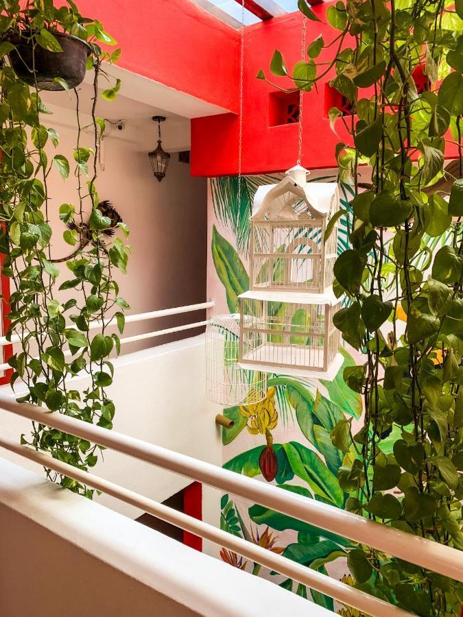 La Iguana Vallarta Lgbt Adults Only - Romantic Zone - Party Clubbing Street Пуерто-Вальярта Екстер'єр фото